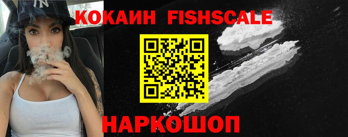 Кокаин FishScale  Ессентуки  где купить наркоту  COCAIN Fish Scale 