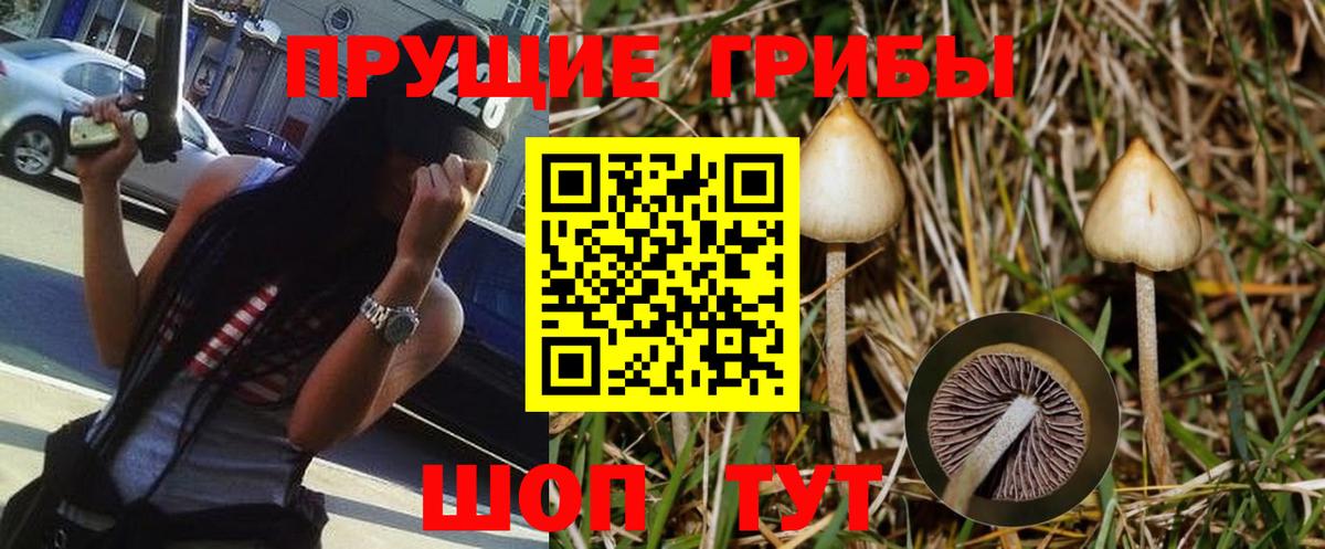 Ессентуки  Псилоцибиновые грибы MAGIC MUSHROOMS  Псилоцибиновые грибы Psilocybine cubensis  Вход с VPN 